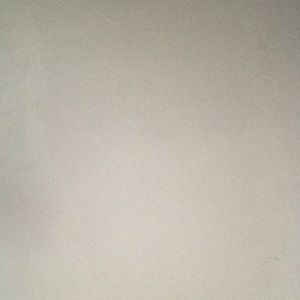 Meet your Posher, Trevor